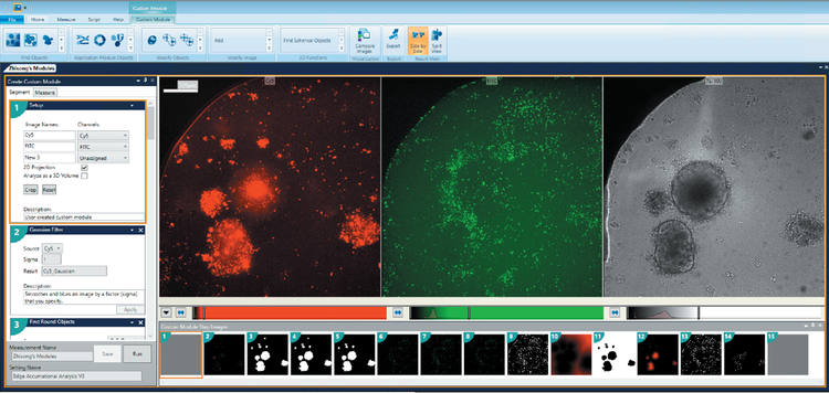 Interfaccia 3D Custom Module Editor con mitotracker (a sinistra), linfociti T (al centro) e canale TL (a destra)