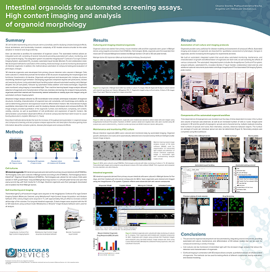 Organoidi intestinali per saggi di screening automatizzato. Imaging e analisi ad alto contenuto della morfologia degli organoidi