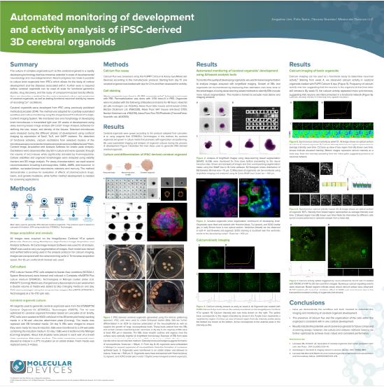 Processi automatizzati di monitoraggio dello sviluppo e analisi dell’attività di organoidi cerebrali 3D derivati da iPSC