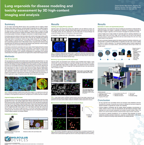 Organoidi polmonari per la modellazione delle malattie e la valutazione della tossicità mediante imaging e analisi ad alto contenuto 3D