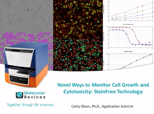 Nuovi metodi per monitorare la crescita cellulare e la citotossicità: la tecnologia StainFree
