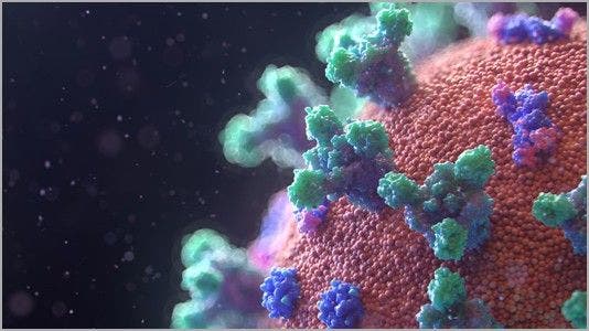 Sistema di prelievo di colonie di cellule di mammifero ClonePix 2