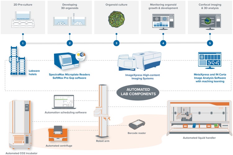automated and customizable high-throughput screening solution
