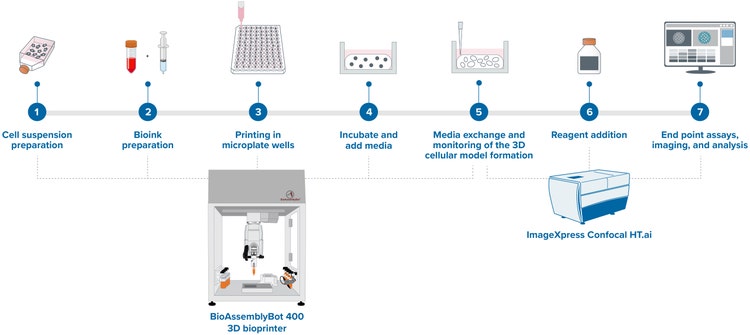 Flusso di lavoro del saggio di biostampa