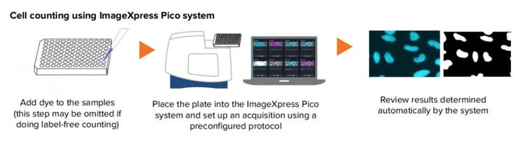 Imaging cellulare automatizzato