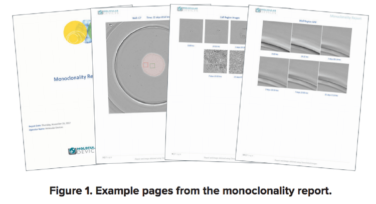 Verifica della monoclonalità