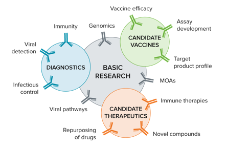 Basic research-diagnostics-vaccines-therapeutics