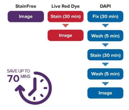 Tecnologia di rilevazione cellulare Stainfree