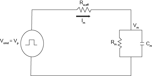 Rappresentazione di un circuito di voltage-clamp a singolo elettrodo continuo.