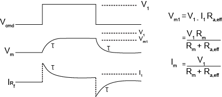 Variazione a gradino del voltaggio nel voltage-clamp a singolo elettrodo continuo