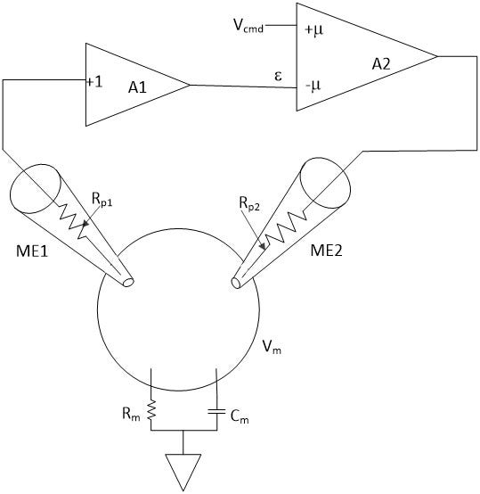 Diagramma del circuito per la metodica di voltage-clamp a due elettrodi (TEVC)