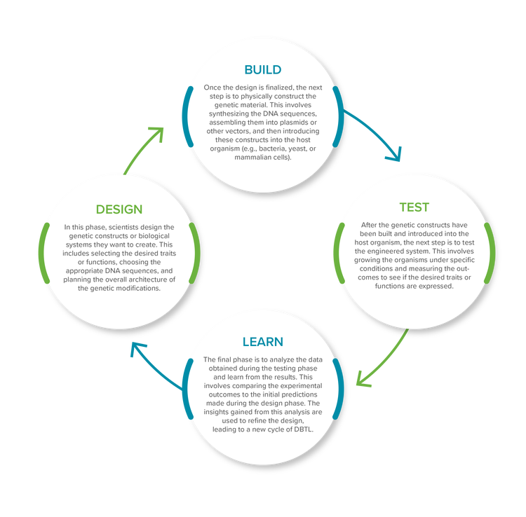 Approccio DBTL (Design-Build-Test-Learn)