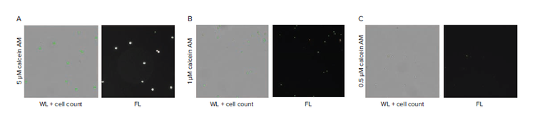 CAM concentration for single cell detection