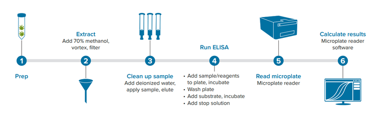 Workflow for cannabis sample processing and ELISA