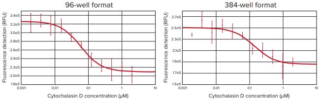 Cells stained with CellTracker Green show a decrease in fluorescence when exposed to increasing levels of Cytochalasin D as measured by the SpectraMax i3 reader