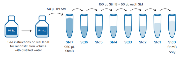 Assay setup for a 384-well low-volume plate