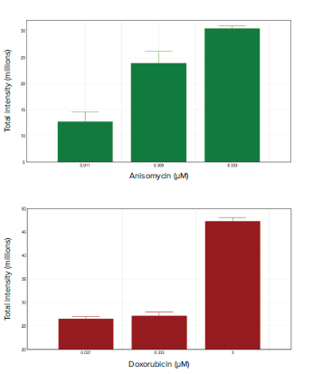 analysis-of-apoptosis-in-anisomycin-and-doxorubicin-treated-spheroids