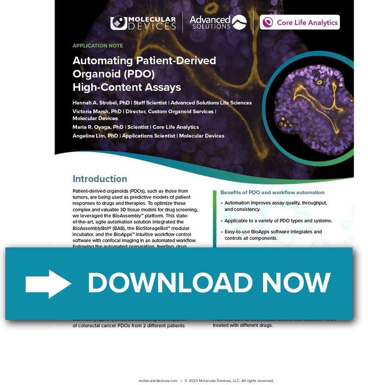 Patient-Derived Organoid