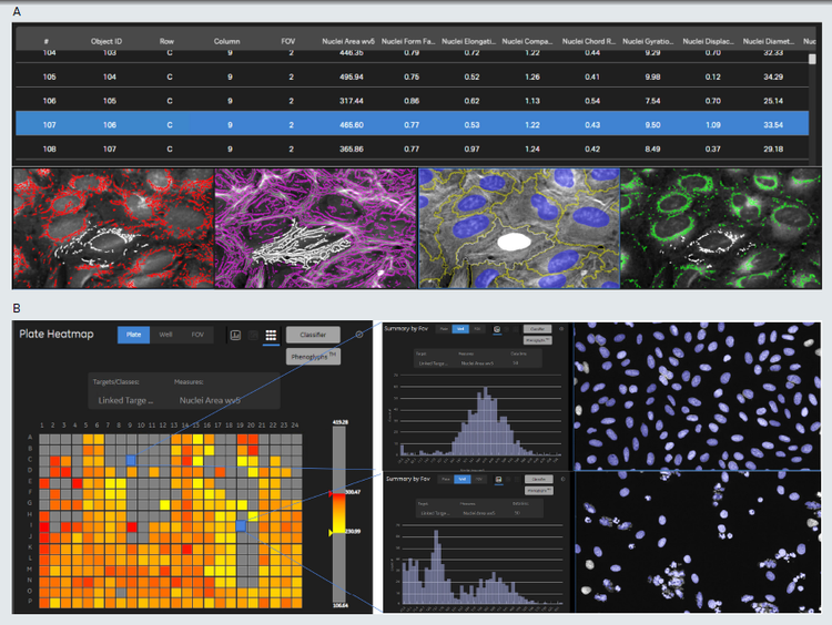 Data view in IN Carta