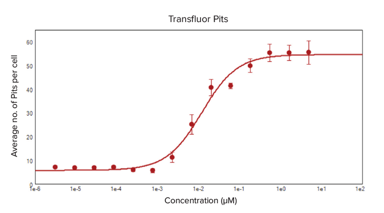response curve for the formation of pits in ß2AR-wt U2OS cells treated with isoproterenol