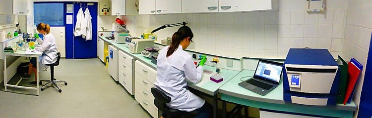 Laboratorio ETAP-Cell