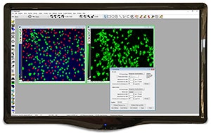 Software di automazione per microscopia e analisi delle immagini MetaMorph