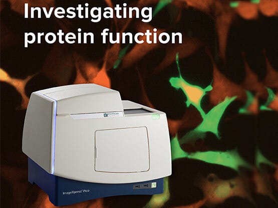Sistema ImageXpress Pico per studiare la funzione delle proteine