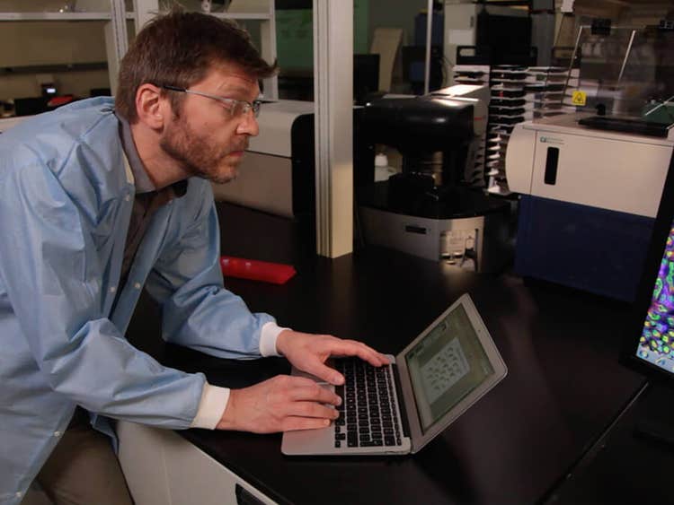 Stephen Brown, PhD, Direttore della Sheffield RNAi Screening Facility