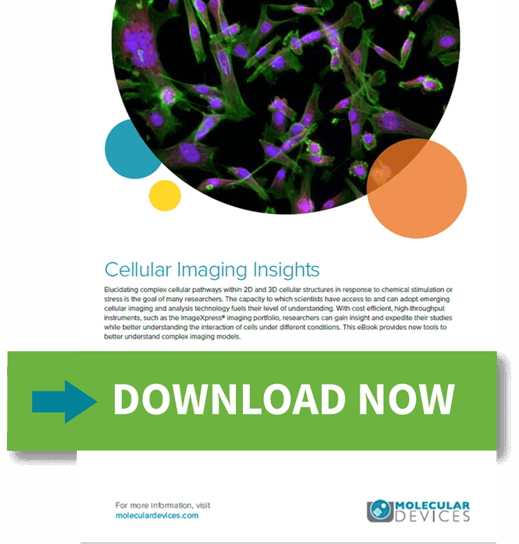Cellular Imaging Insights