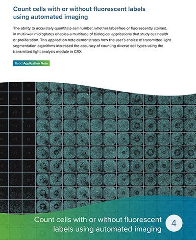 Count cells with or without fluorescent labels using automated imaging