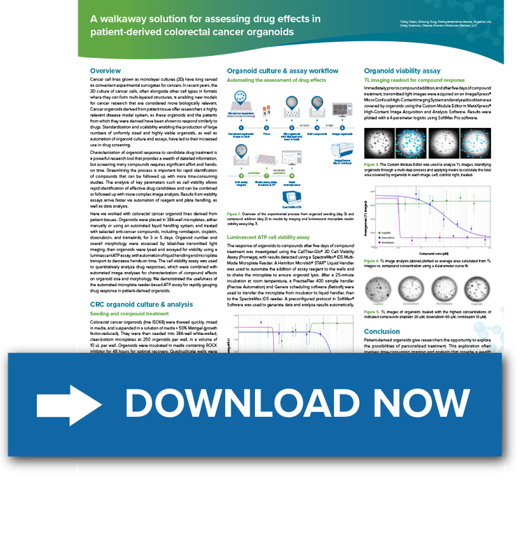 patient-derived colorectal cancer organoids