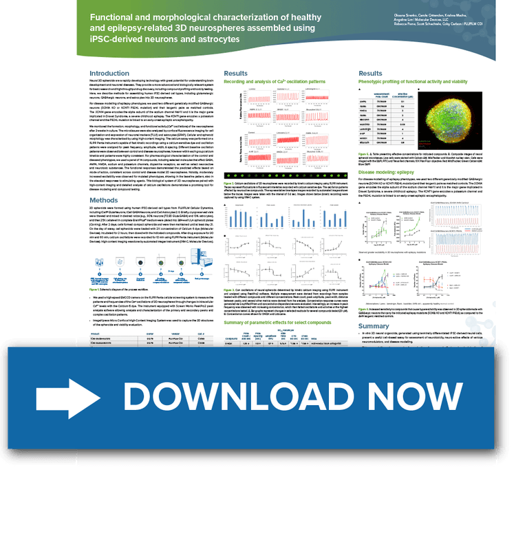 Functional and morphological characterization of healthy and epilepsy