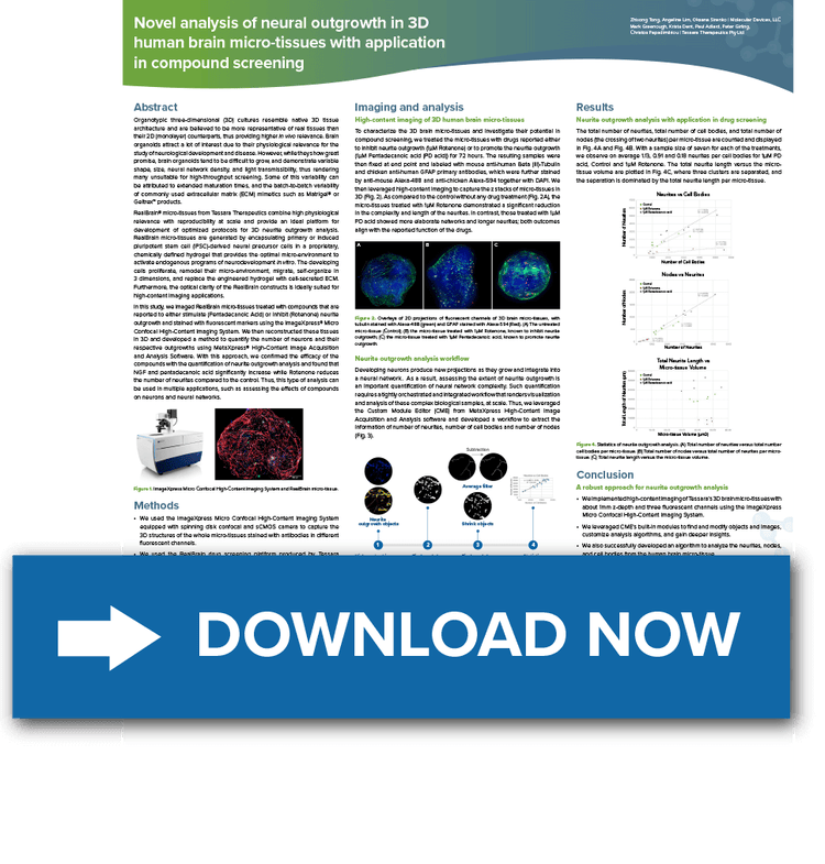 Novel analysis of neural outgrowth in 3D human brain micro-tissues with application in compound screening