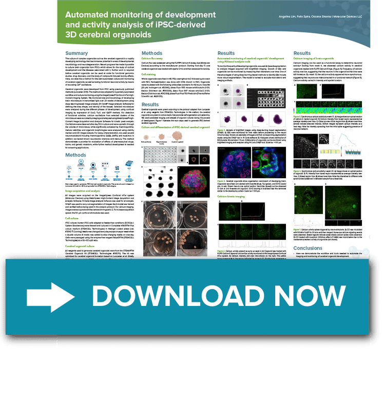 Automated monitoring of iPSC-derived 3D cerebral organoids