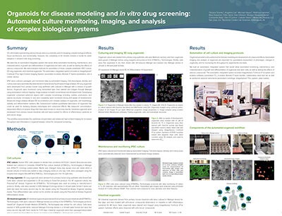 Organoids for disease modeling and in vitro drug screening