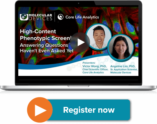 High-Content Phenotypic Screening