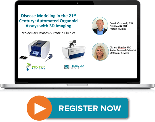 Automated organoid assays with 3D imaging
