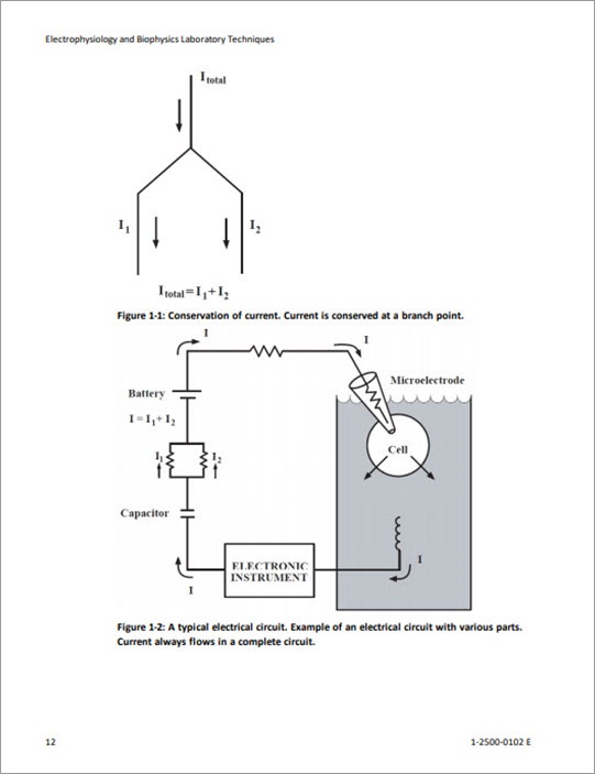 Electric Circuit