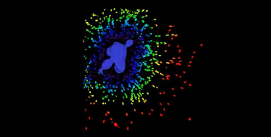 Imaging e analisi cellulare 3D