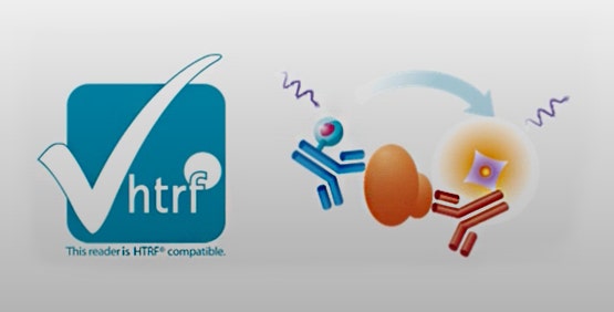 L’HTRF prevede l’uso di due fluorofori, un donatore e un accettore