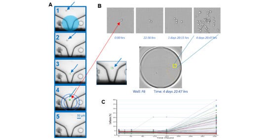 Sviluppo di linee cellulari e garanzia di monoclonalità