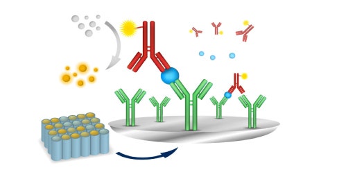 ELISA in chemiluminescenza