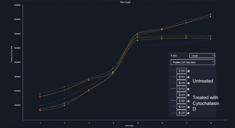 Visualizzazione dei trend per le misurazioni di interesse