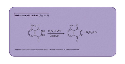 ELISA in chemiluminescenza per il VEGF