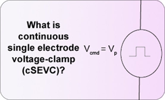 voltage-clamp a singolo elettrodo continuo (cSEVC)