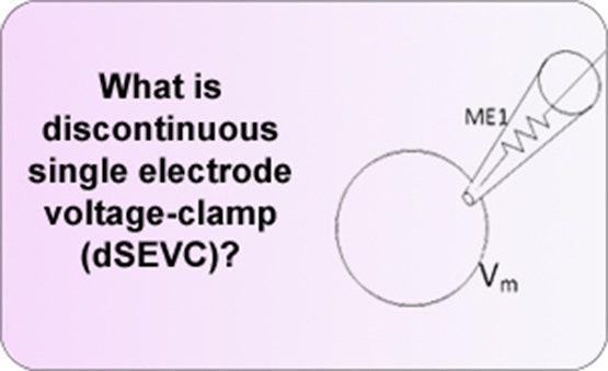 voltage-clamp a singolo elettrodo discontinuo (dSEVC)