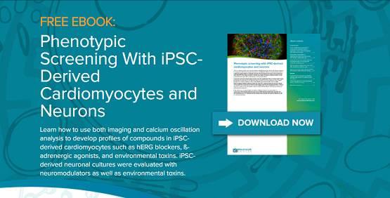 eBook: Phenotypic Screening With iPSC-Derived Cardiomyocytes and Neurons