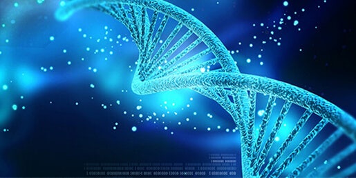 Campione di quantificazione del DNA/RNA