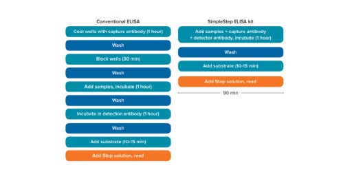 Quantificazione dell’interleuchina-8