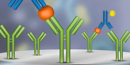 ELISA/immunodosaggi (quantificazione di antigeni, anticorpi, citochine...)